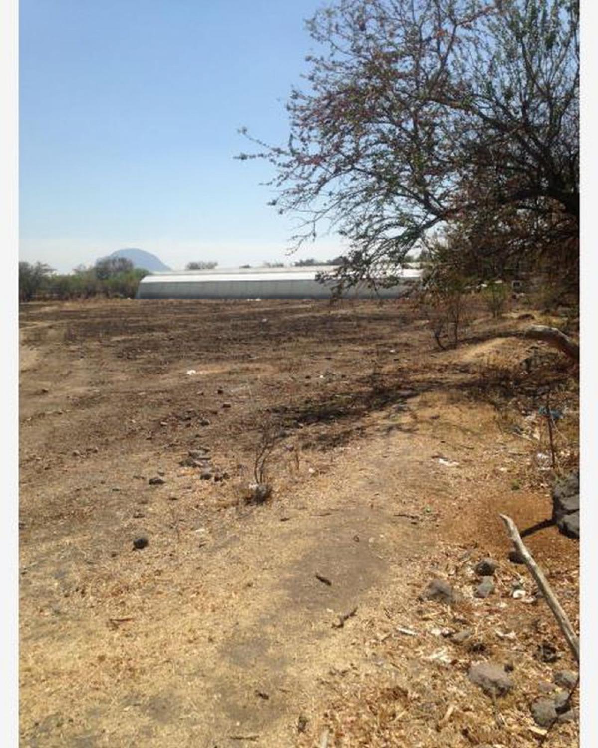 Picture of Residential Land For Sale in Temoac, Morelos, Mexico