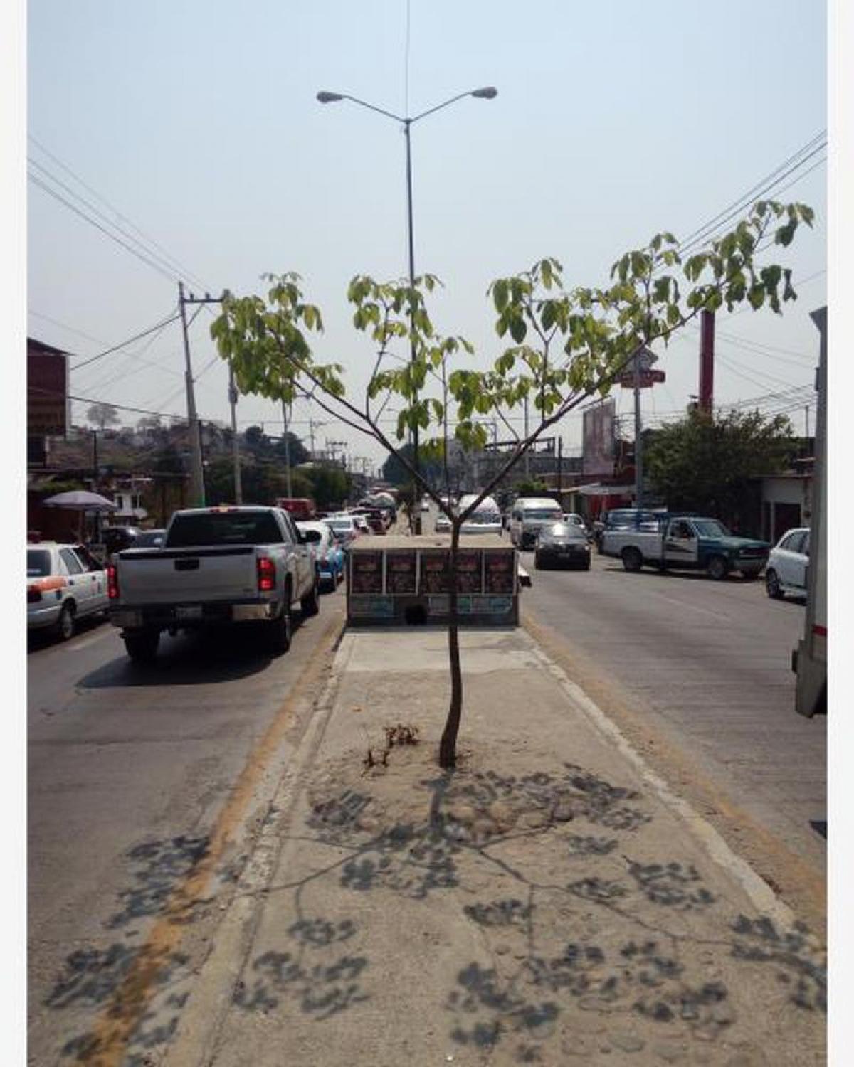 Picture of Home For Sale in Acapulco De Juarez, Guerrero, Mexico