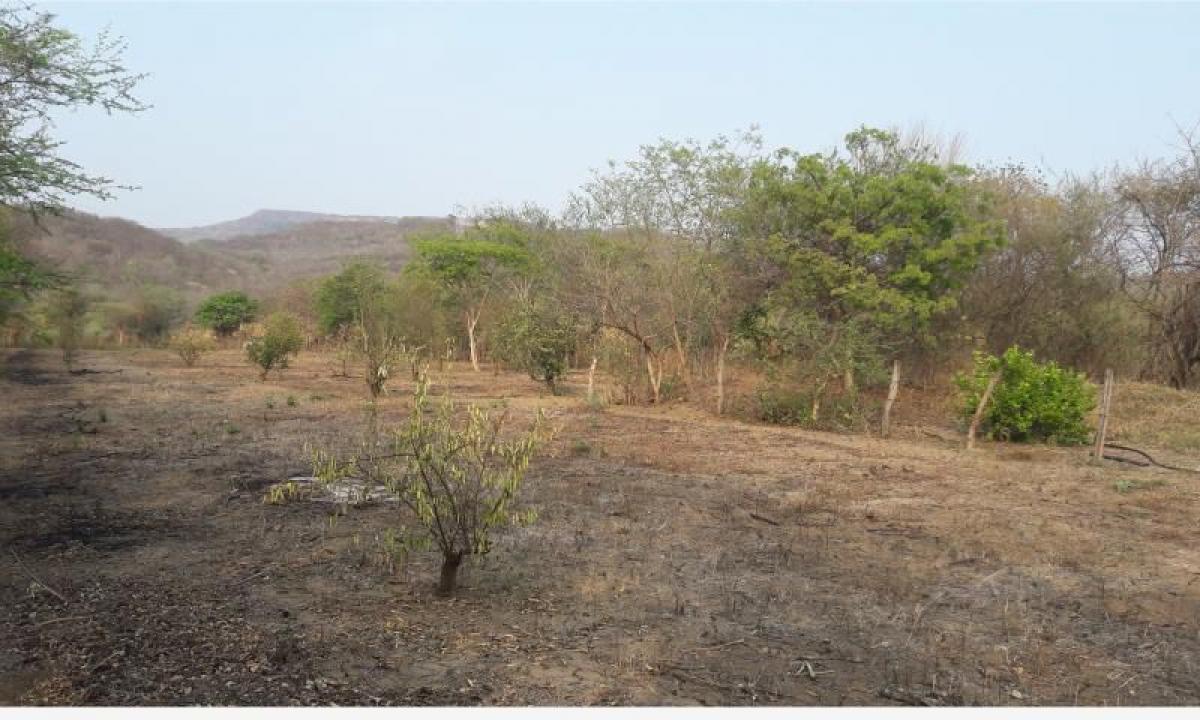 Picture of Residential Land For Sale in Chiapa De Corzo, Chiapas, Mexico
