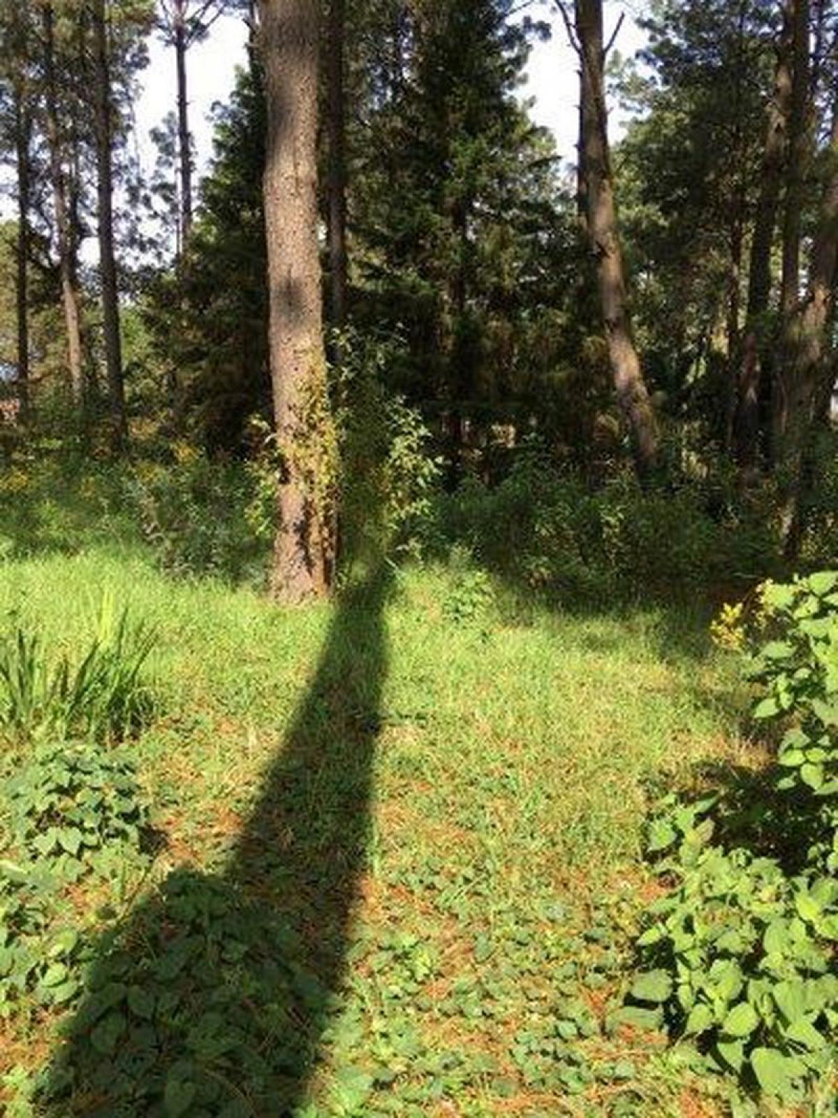 Picture of Other Commercial For Sale in Valle De Bravo, Mexico, Mexico