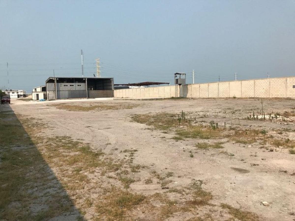 Picture of Penthouse For Sale in Campeche, Campeche, Mexico