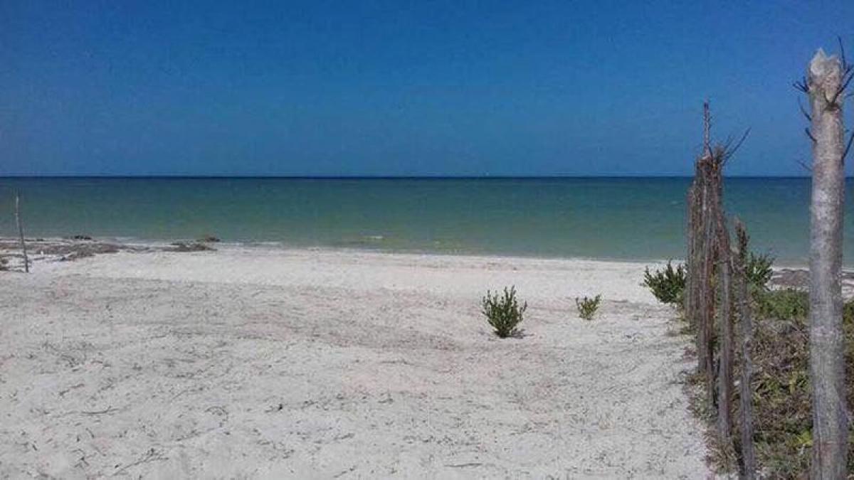 Picture of Residential Land For Sale in Yobain, Yucatan, Mexico