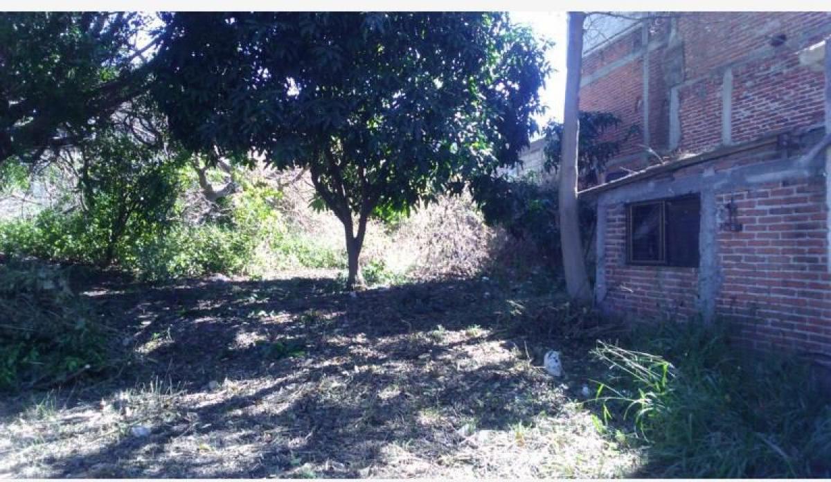 Picture of Residential Land For Sale in Ayala, Morelos, Mexico