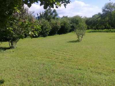 Other Commercial For Sale in Allende, Mexico