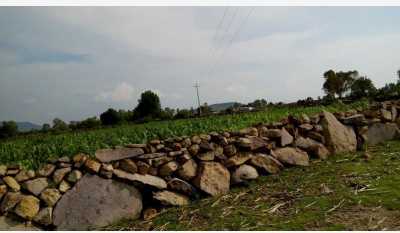 Residential Land For Sale in Amealco De Bonfil, Mexico