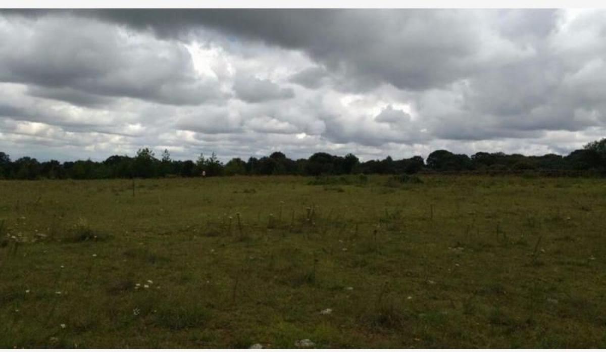 Picture of Residential Land For Sale in Amealco De Bonfil, Queretaro, Mexico