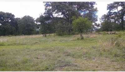 Residential Land For Sale in Amealco De Bonfil, Mexico
