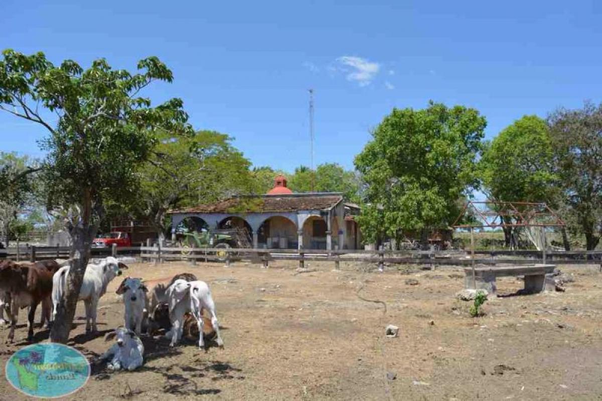 Picture of Development Site For Sale in Yucatan, Yucatan, Mexico