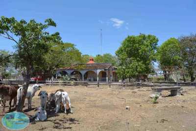 Development Site For Sale in Yucatan, Mexico