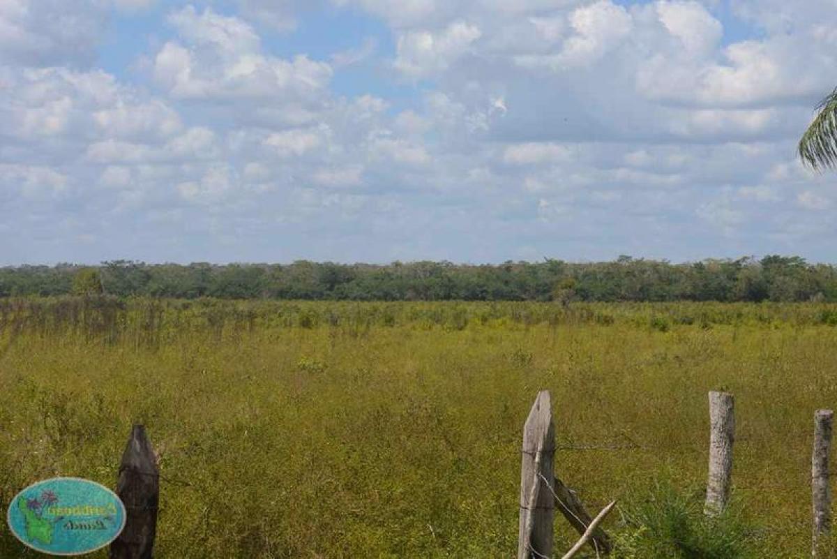 Picture of Development Site For Sale in Othon P. Blanco, Quintana Roo, Mexico