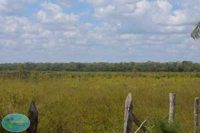 Development Site For Sale in Othon P. Blanco, Mexico