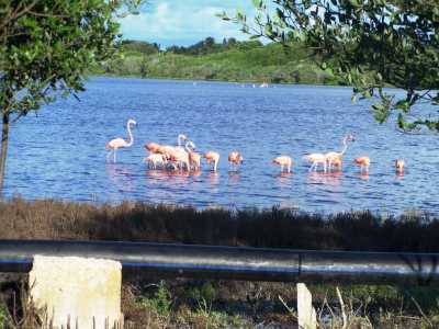 Residential Land For Sale in Hunucma, Mexico