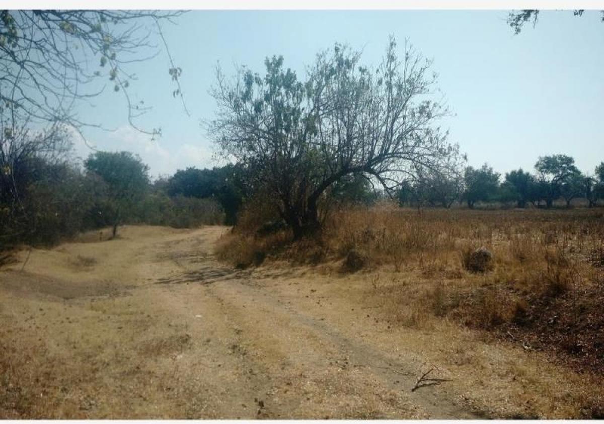 Picture of Residential Land For Sale in Jantetelco, Morelos, Mexico