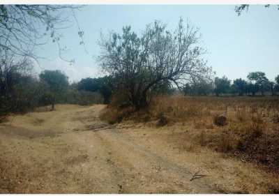 Residential Land For Sale in Jantetelco, Mexico