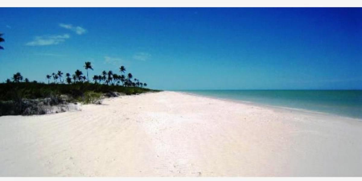 Picture of Residential Land For Sale in Hunucma, Yucatan, Mexico