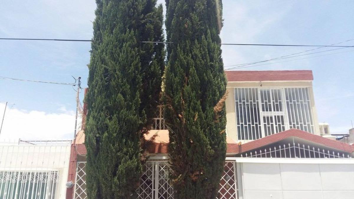 Picture of Apartment For Sale in Aguascalientes, Aguascalientes, Mexico
