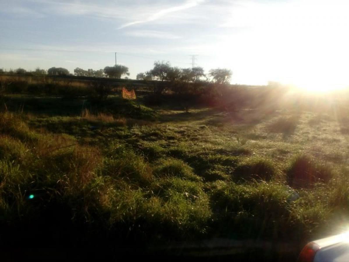 Picture of Residential Land For Sale in Jesus Maria, Aguascalientes, Mexico