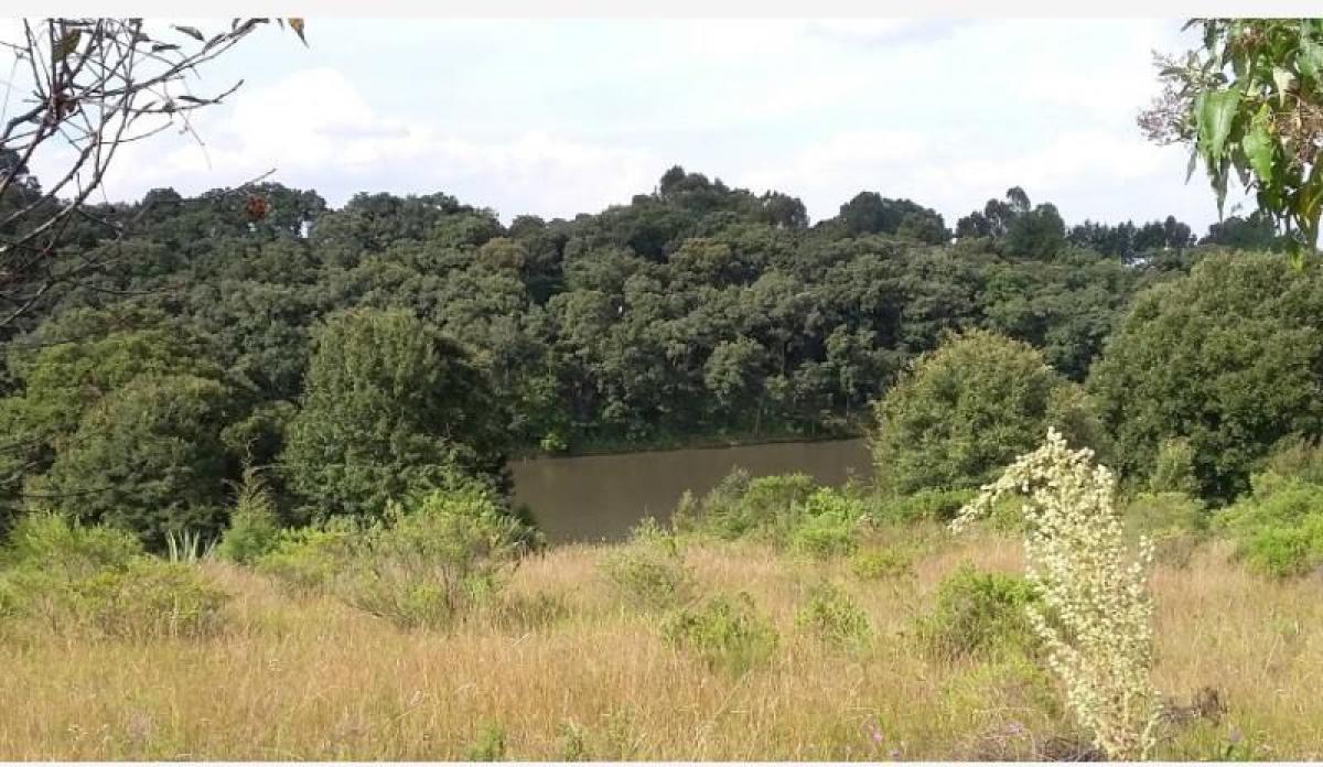 Picture of Residential Land For Sale in Amealco De Bonfil, Queretaro, Mexico