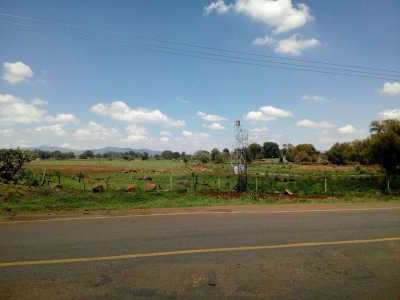 Residential Land For Sale in San Ignacio Cerro Gordo, Mexico
