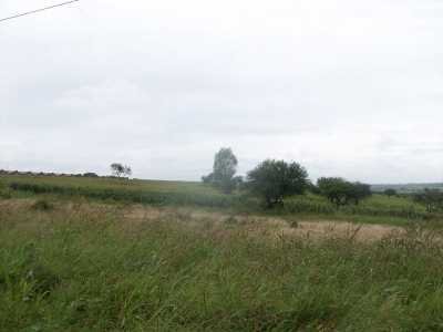 Residential Land For Sale in Poncitlan, Mexico