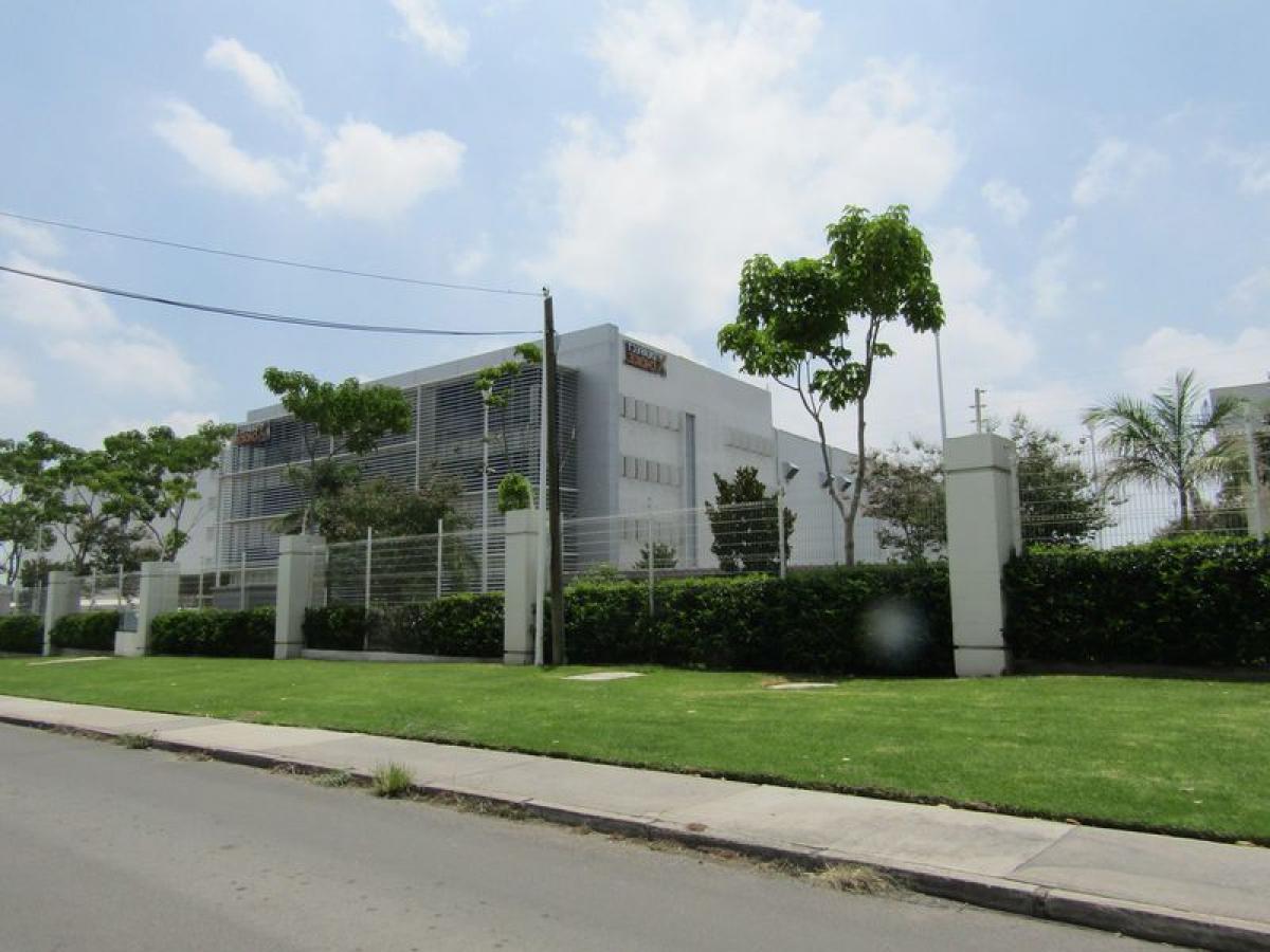 Picture of Office For Sale in San Pedro Tlaquepaque, Jalisco, Mexico