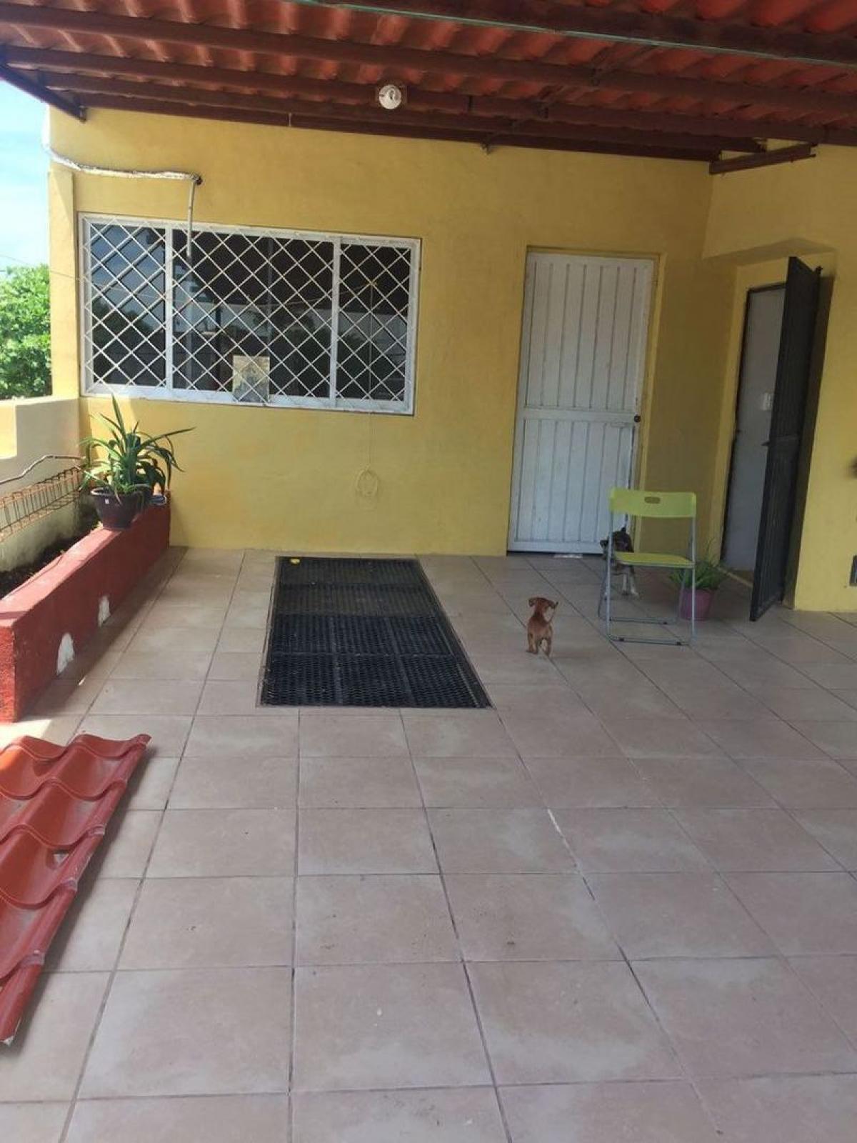 Picture of Apartment For Sale in Campeche, Campeche, Mexico