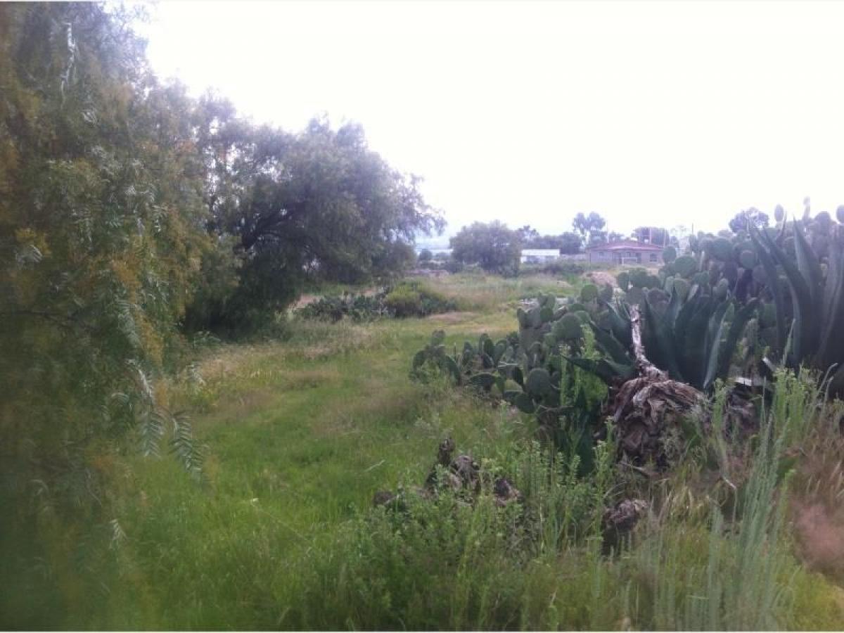 Picture of Residential Land For Sale in Mineral De La Reforma, Hidalgo, Mexico
