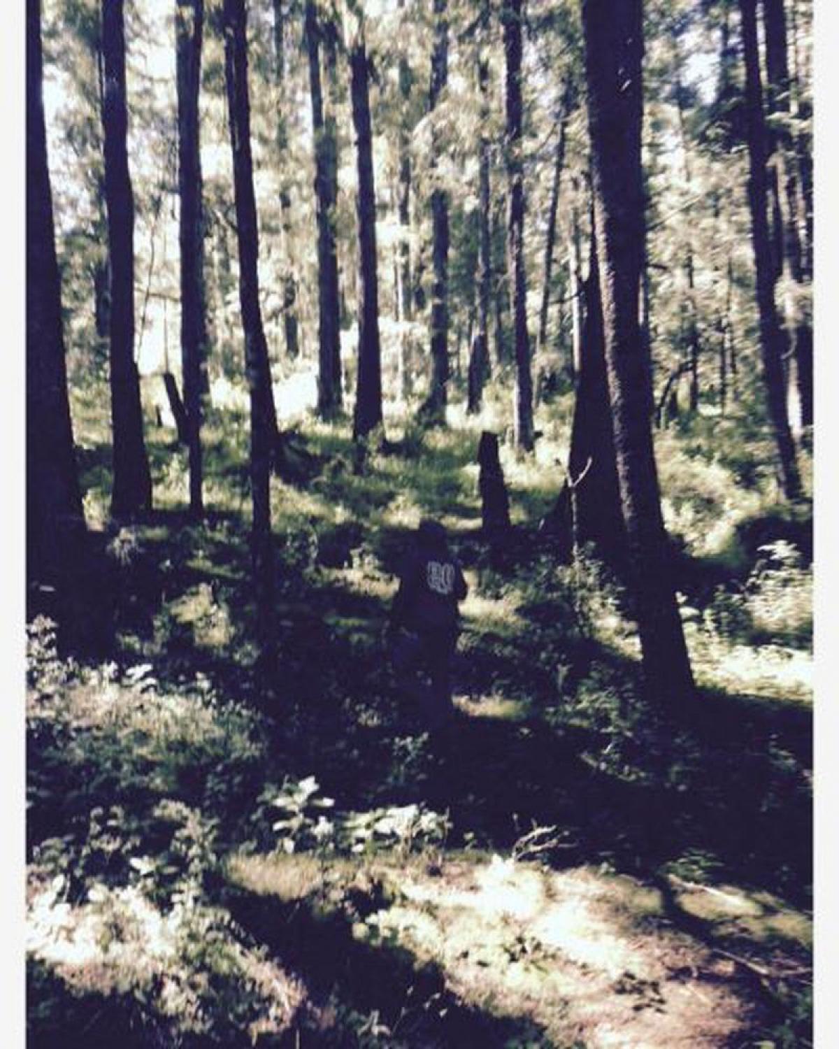 Picture of Residential Land For Sale in Mineral Del Monte, Hidalgo, Mexico