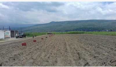 Residential Land For Sale in Chalco, Mexico