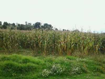 Residential Land For Sale in Tlalmanalco, Mexico