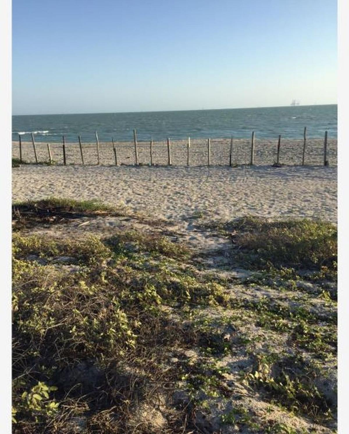 Picture of Residential Land For Sale in Campeche, Campeche, Mexico