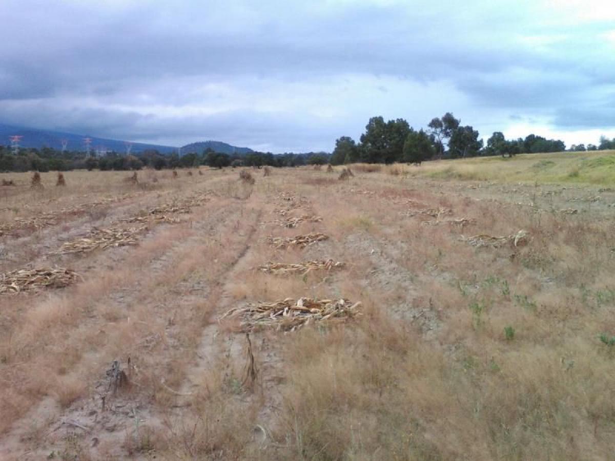 Picture of Residential Land For Sale in Tzompantepec, Tlaxcala, Mexico