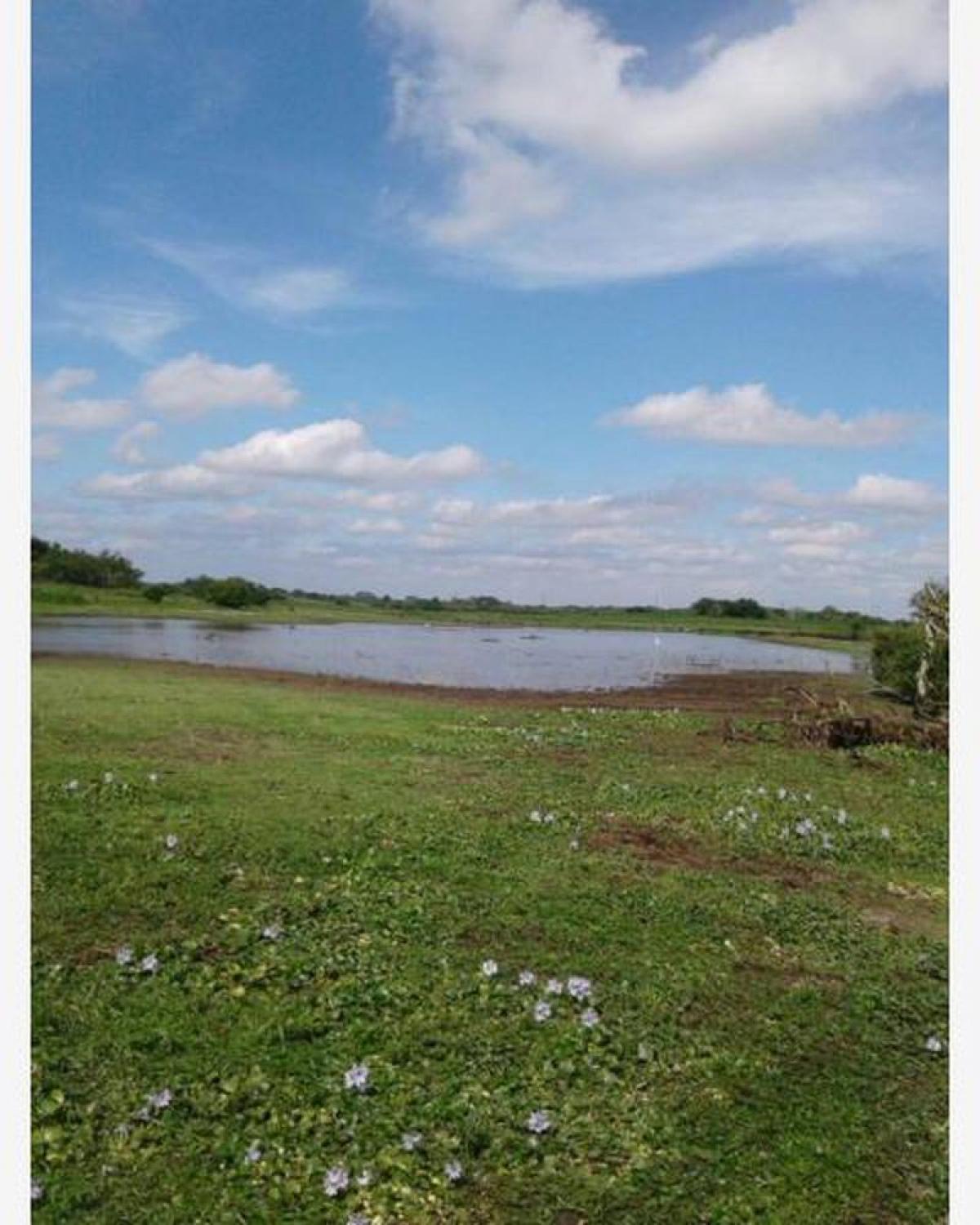 Picture of Home For Sale in Teapa, Tabasco, Mexico
