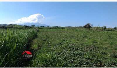 Residential Land For Sale in Colima, Mexico