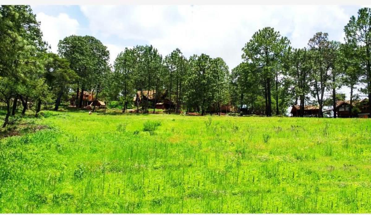 Picture of Residential Land For Sale in Atemajac De Brizuela, Jalisco, Mexico