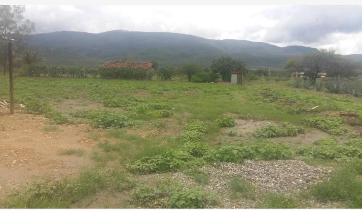 Picture of Residential Land For Sale in San Pablo Villa De Mitla, Oaxaca, Mexico