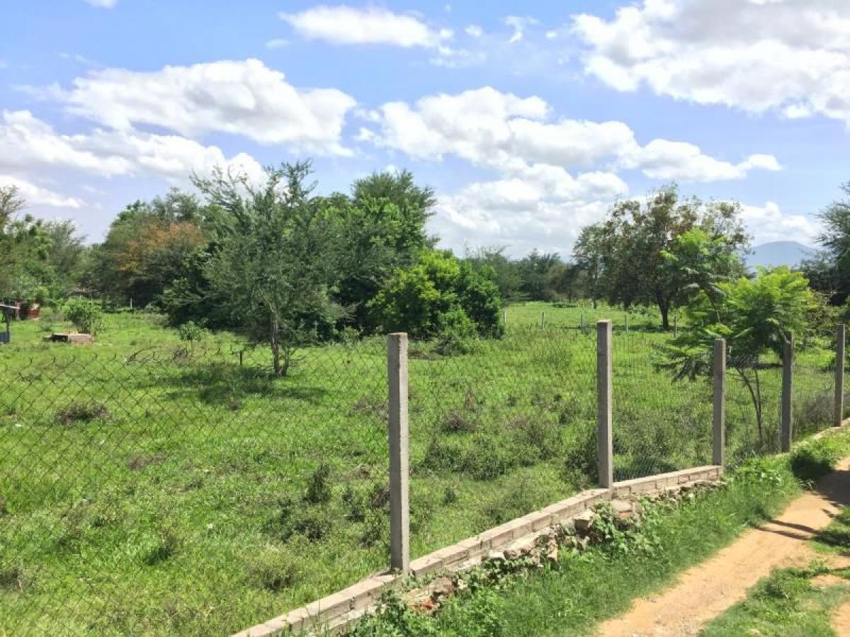 Picture of Residential Land For Sale in San Raymundo Jalpan, Oaxaca, Mexico