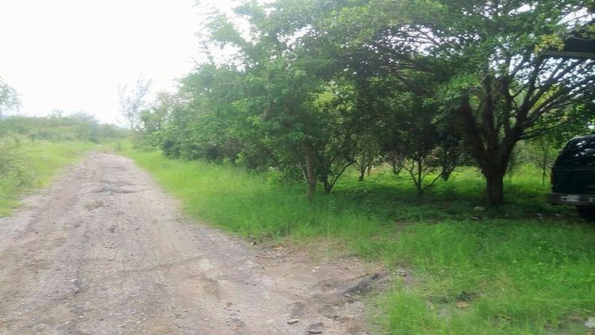 Picture of Development Site For Sale in Tamaulipas, Tamaulipas, Mexico