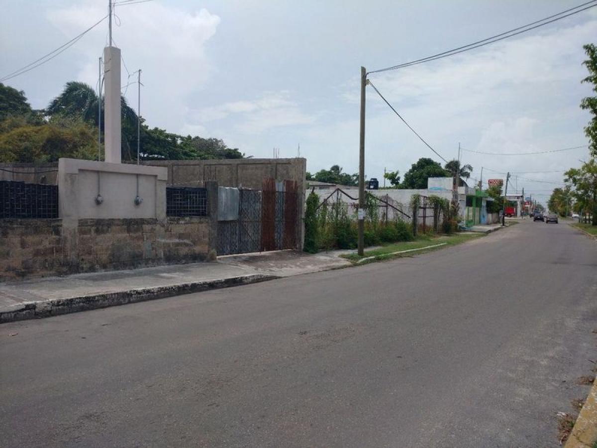 Picture of Residential Land For Sale in Othon P. Blanco, Quintana Roo, Mexico