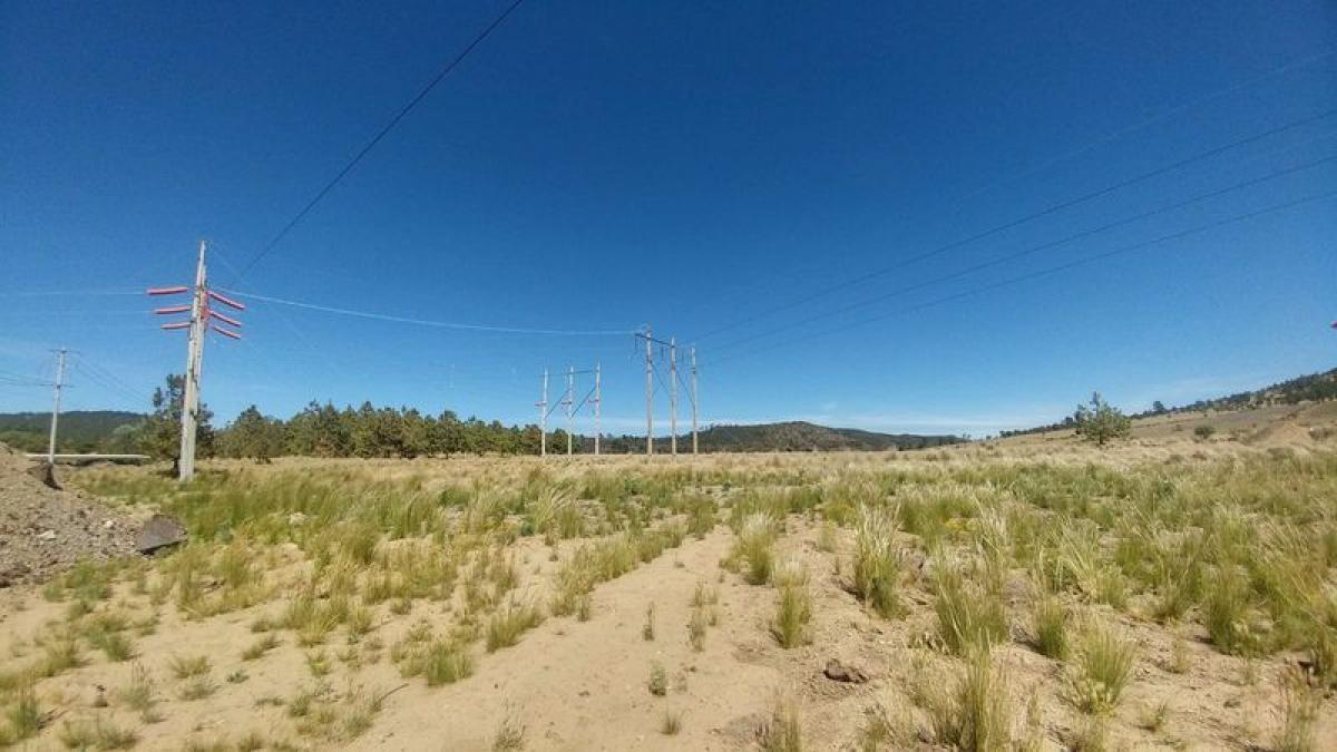 Picture of Residential Land For Sale in Tepeyahualco De Cuauhtemoc, Puebla, Mexico