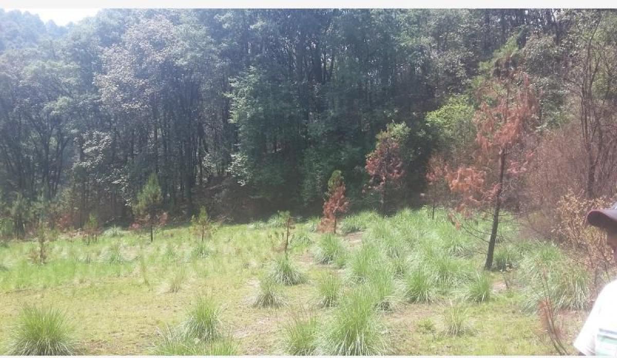 Picture of Residential Land For Sale in Villa Del Carbon, Mexico, Mexico