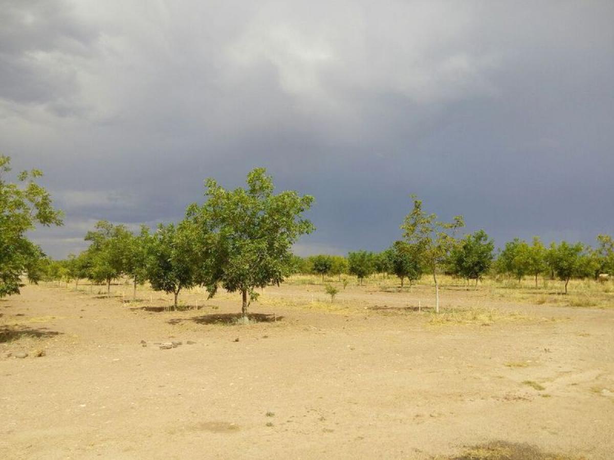 Picture of Other Commercial For Sale in Aldama, Chiapas, Mexico