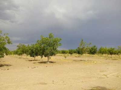 Other Commercial For Sale in Aldama, Mexico