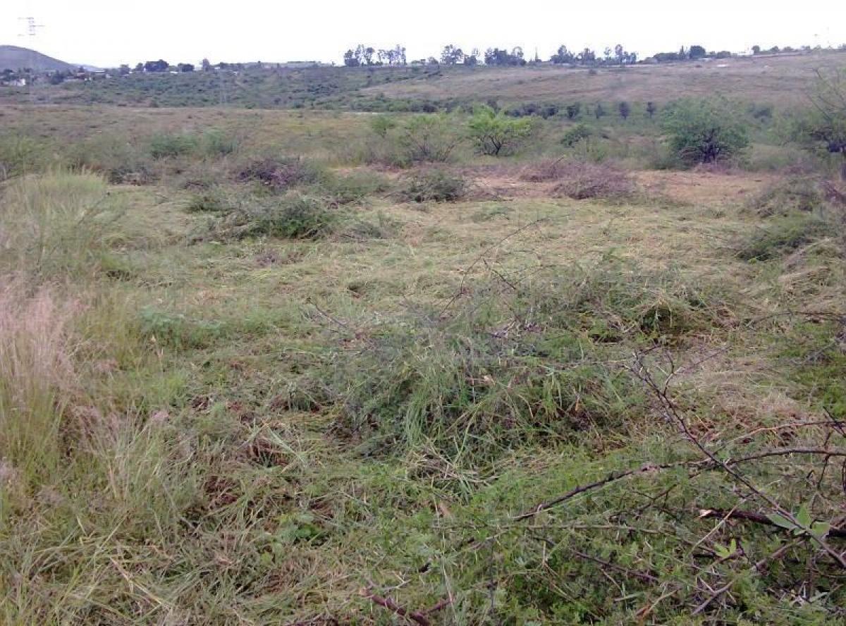 Picture of Residential Land For Sale in San Pablo Etla, Oaxaca, Mexico