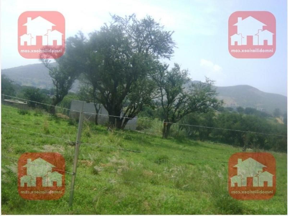 Picture of Residential Land For Sale in Santa Cruz Xoxocotlan, Oaxaca, Mexico