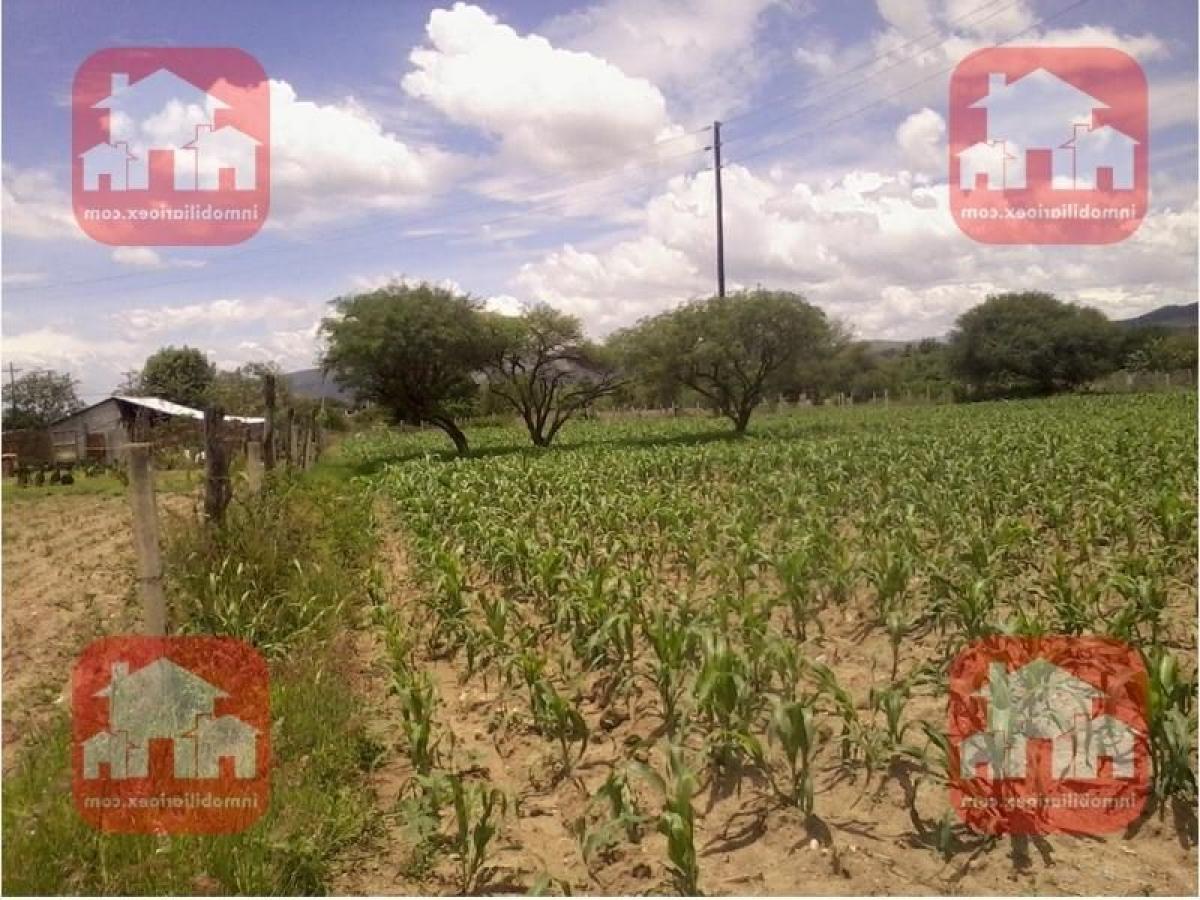 Picture of Residential Land For Sale in San Bartolo Coyotepec, Oaxaca, Mexico