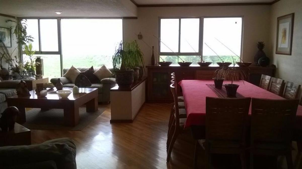 Picture of Apartment For Sale in Estado De Mexico, Mexico, Mexico