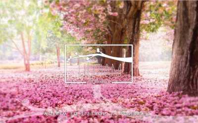 Residential Land For Sale in Yucatan, Mexico