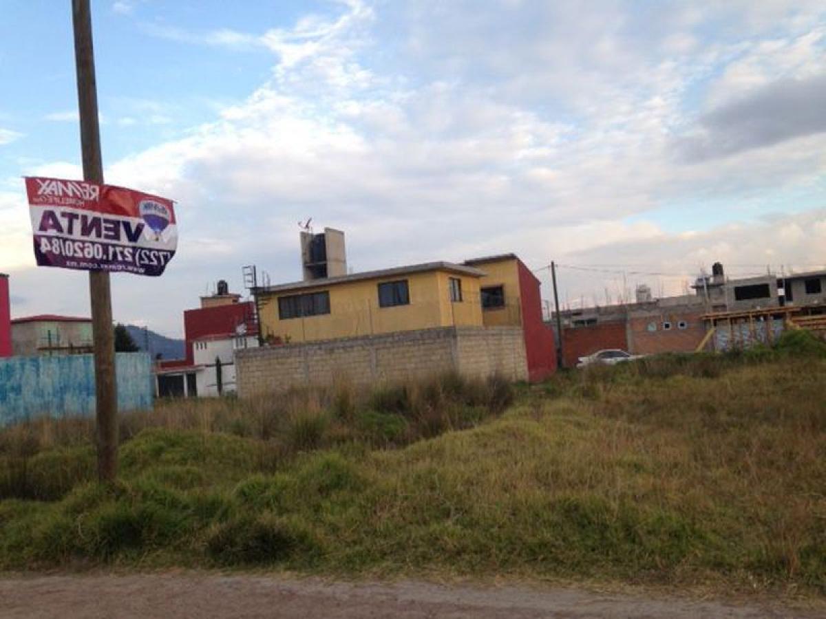 Picture of Other Commercial For Sale in Zinacantepec, Mexico, Mexico