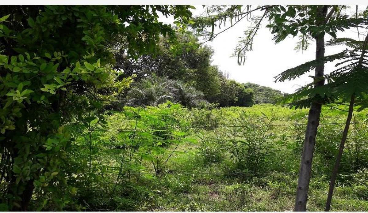 Picture of Residential Land For Sale in Veracruz, Veracruz, Mexico
